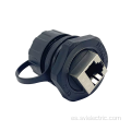 Gato femenino a hembra.6 conector RJ45 con gorra